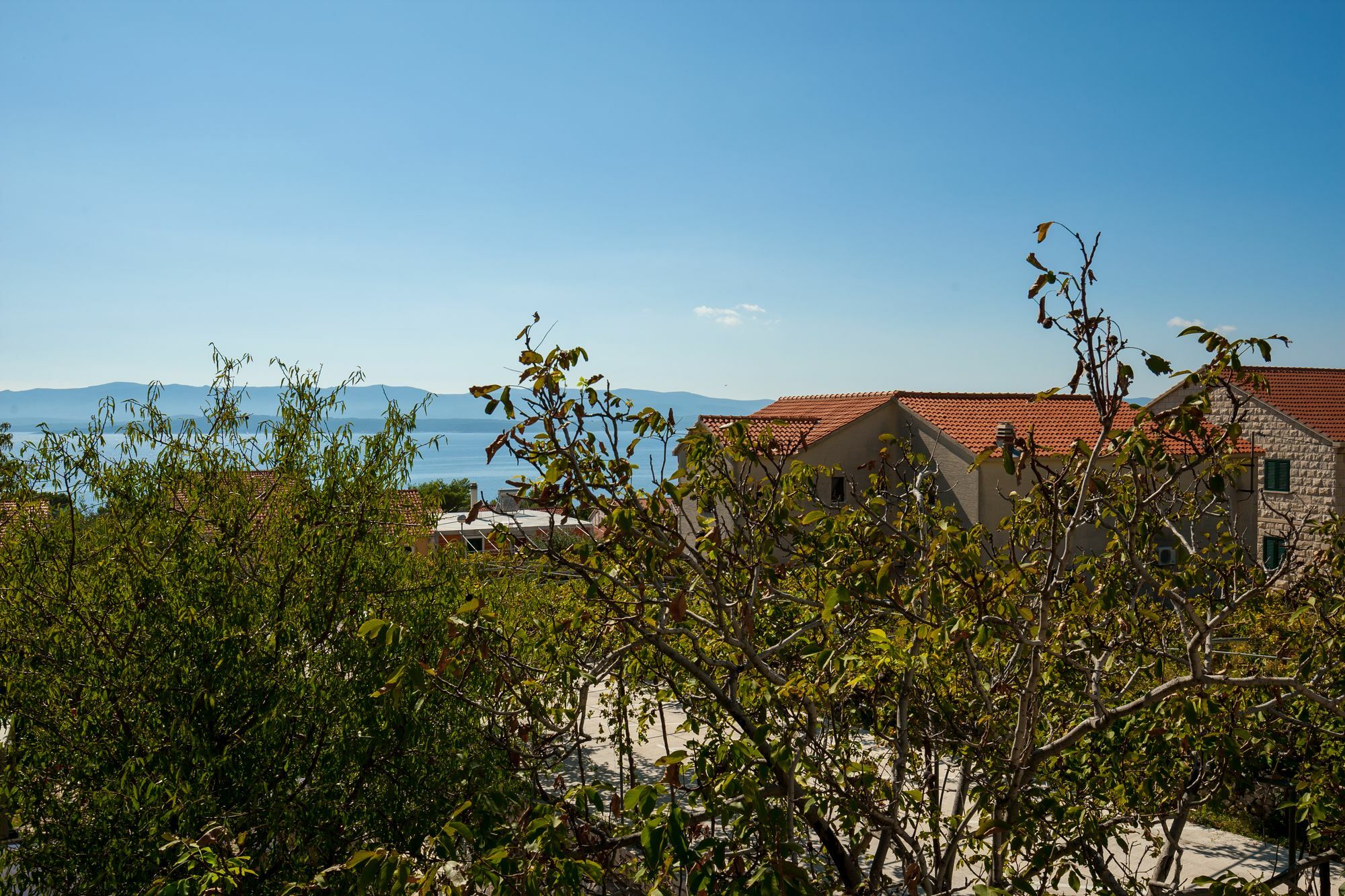 Apartament Livia